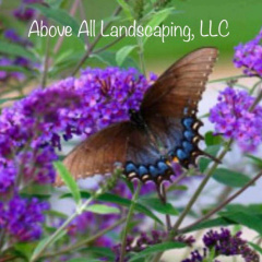 Above All Landscaping, LLC